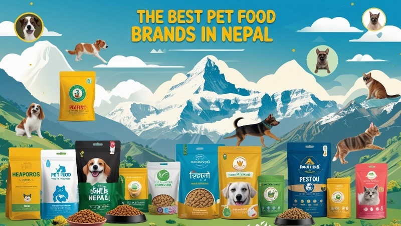 The Best Pet Food Brands in Nepal